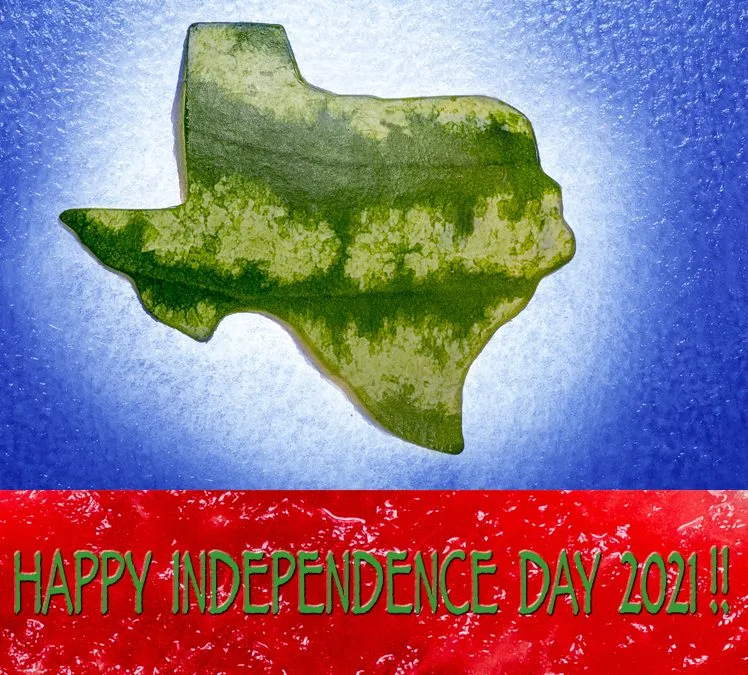 Independence Day 2021 – Make it Better with Watermelon!