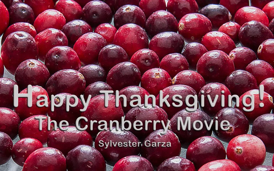 Try This Cranberry Sauce Recipe – Happy Thanksgiving!